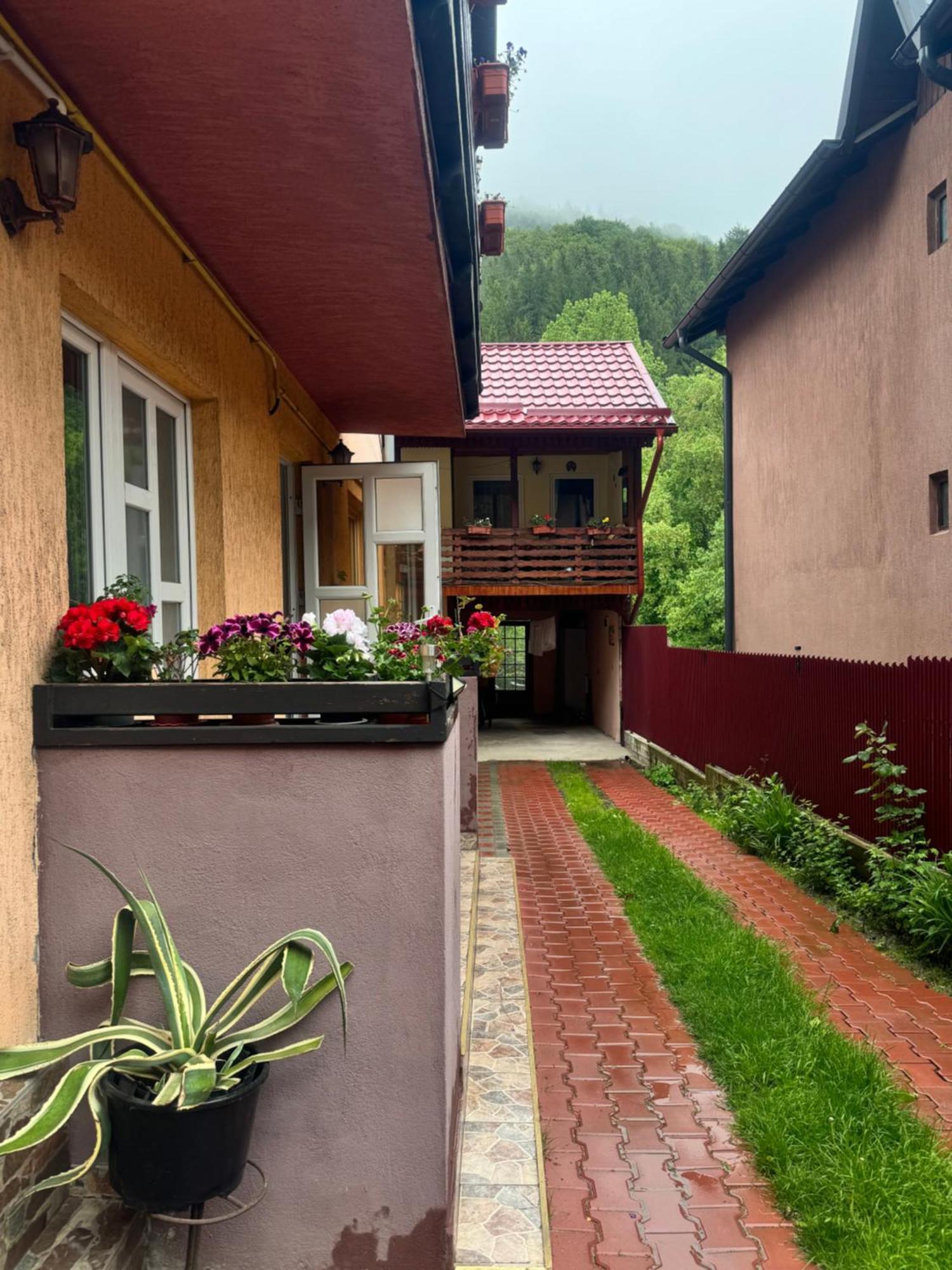 River Apartment Sinaia Exteriör bild